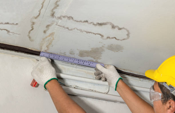 Reliable Structural Drying contractor in Forest, OH by Water Damage Irwin